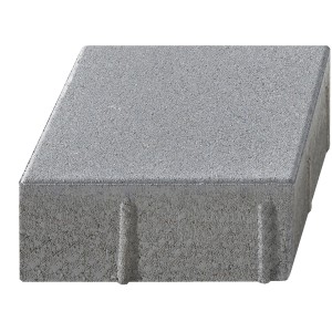 Pavé Vero Maxx, gris argent, 7,5x20x20 cm. Pierre carrée en béton pour un design de surface moderne.