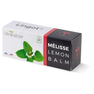 Confezione di semi di erbe Véritable Lingot bio melissa per giardino interno.