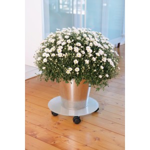 Rotolo per piante rotondo in vetro bianco opaco (Ø 35 cm) con vaso e pianta bianca.
