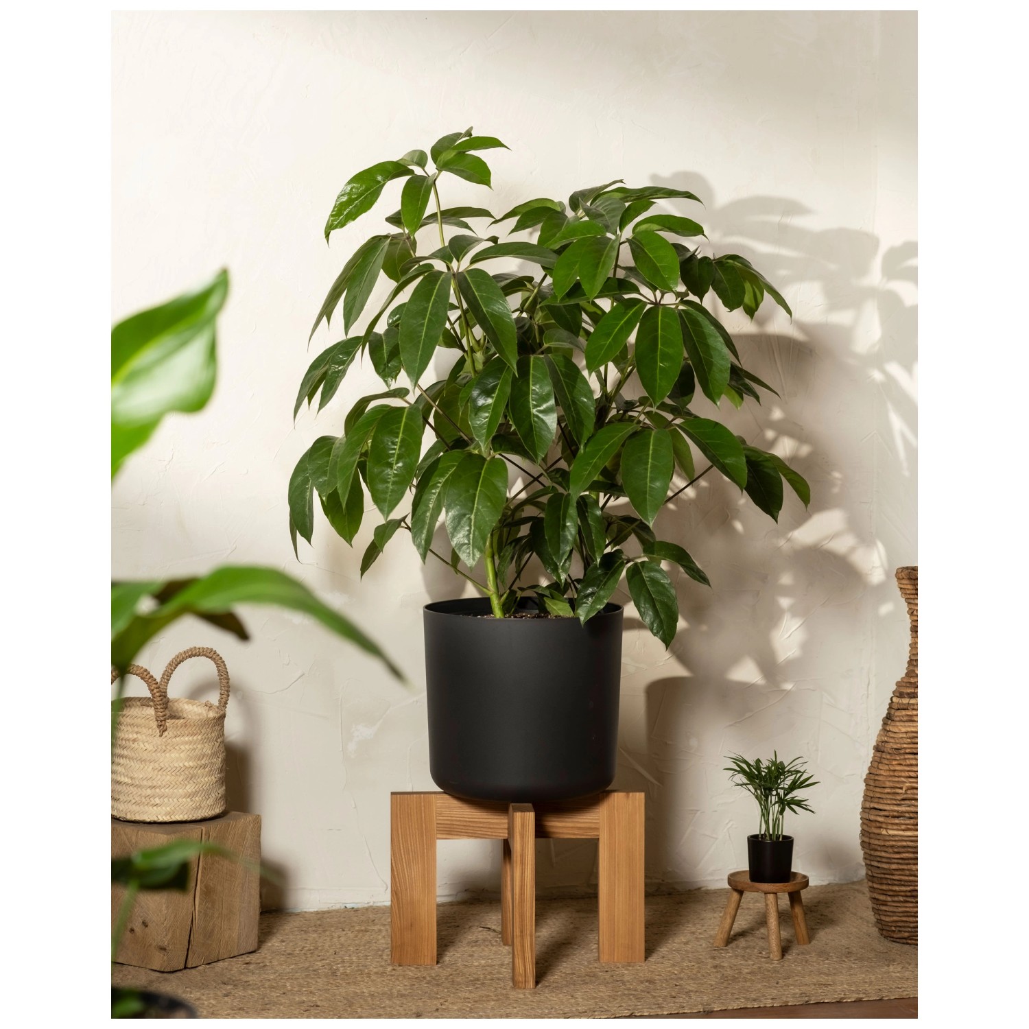 Feey Blumentopf Lumi Kunststoff Anthrazit Ø 35 cm kaufen bei OBI