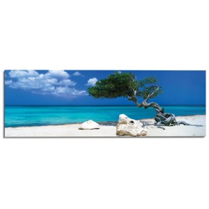 Quadro: Albero Divi Divi su spiaggia bianca con mare turchese e cielo blu.