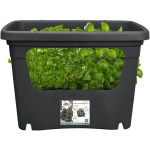 Vaso di semina nero Elho Green Basics Living con erbe aromatiche, 35,7x50,9x35,1 cm, ideale per verdure ed erbe.