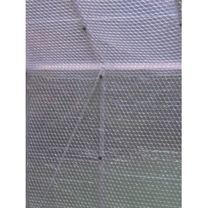 Dettaglio del pluriball trasparente Juliana (10 m x 1,5 m) per l'isolamento della serra.