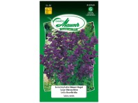 Samen Mauser Buntschopfsalbei Salvia Viridis Blauer Vogel loses Saatgut Samen Mauser Buntschopfsalbei Salvia Viridis Blauer Vogel loses Saatgut