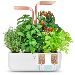 Véritable Smart Indoor Herb Garden in bianco/rame con erbe e verdure.