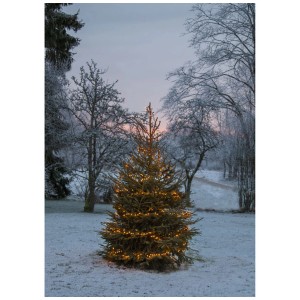 Catena luminosa LED Star Trading con 1200 LED dorati su abete nella neve, luci decorative per esterni.