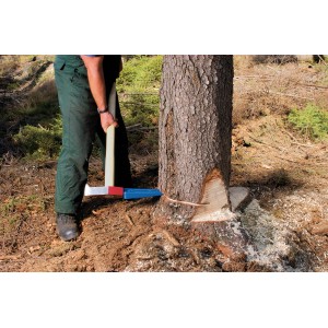 Utilisation du coin d'abattage LUX sur un tronc d'arbre. Le coin est bleu et rouge.