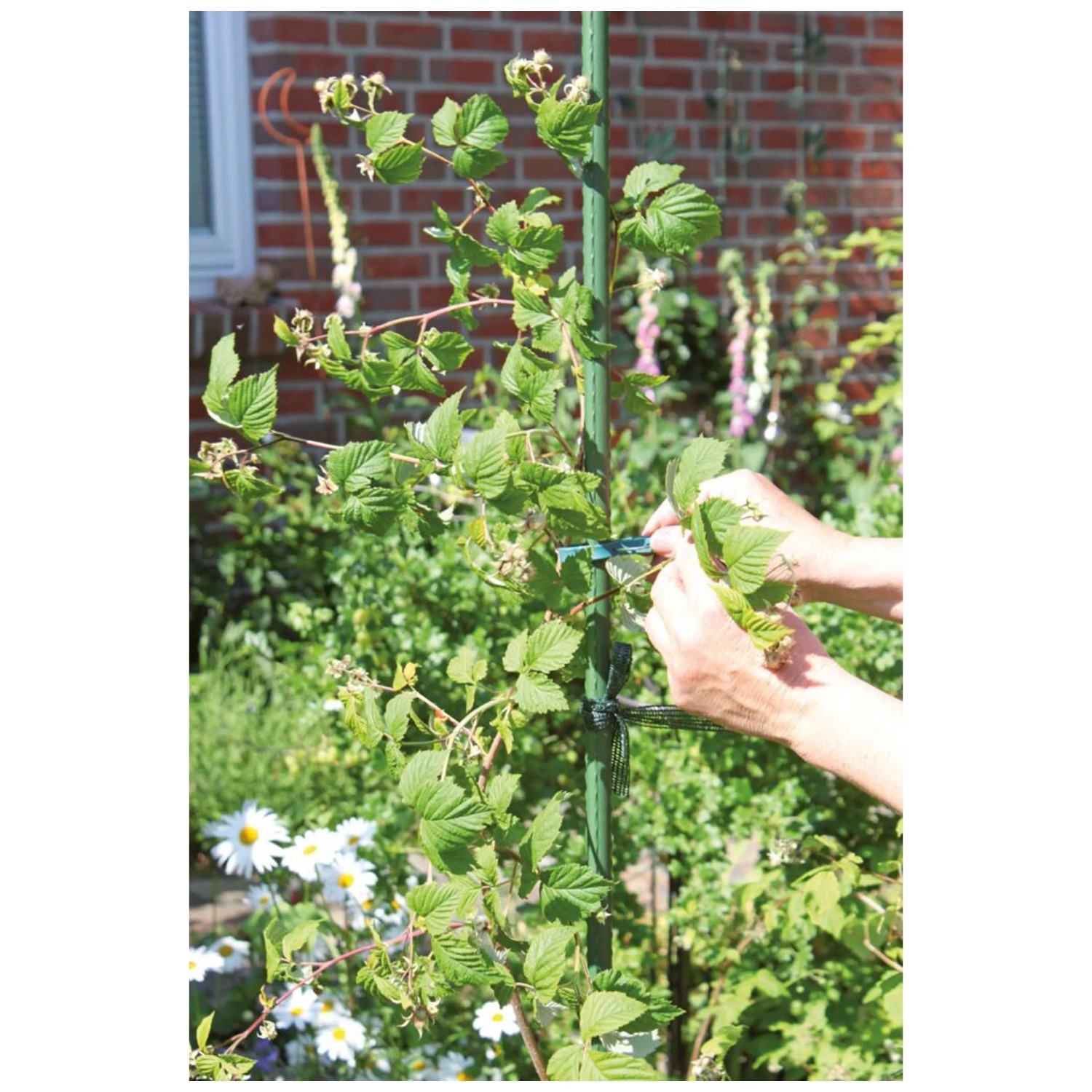 Videx Garden Pflanzstab geriffelt Grn  1,1 cm / Hhe 90 cm
