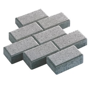 Pavés rectangulaires gris 20x10x6 cm, adaptés aux allées et chemins.