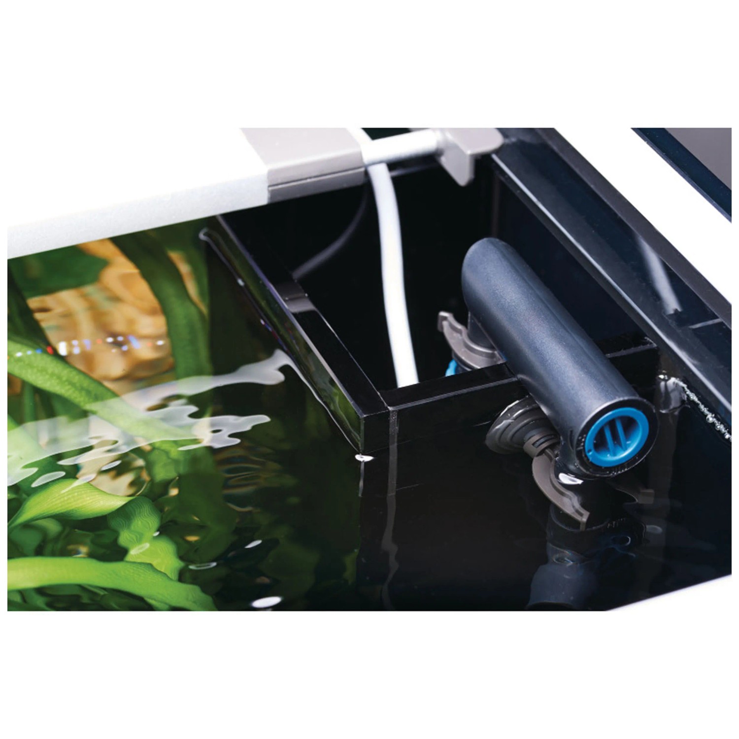 Oase BioSmart Set 5000 con bomba y filtro UVC integrado