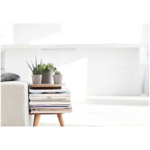 Ecopots Amsterdam Mini, French Taupe, Ø 13 cm, avec cactus et plantes grasses sur une pile de livres.