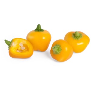 Graines bio de mini-poivrons jaunes Véritable Lingot, idéal pour les jardins d'intérieur.