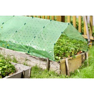 Film de forçage vert Windhager Strong sur un potager surélevé avec des fraises.
