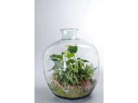 Bepflanzte Schale Topf Ø 44 cm / Höhe 55 cm