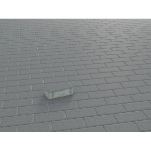Pavé rectangulaire en béton anthracite 20x10x6 cm, posé comme allée.