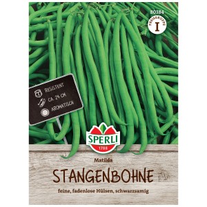 Sperli Graines de haricot grimpant Matilda : Paquet avec des haricots verts et longs.