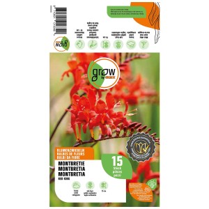 Grow by OBI Montbretia Red King, 15 bulbi da fiore con vivaci fiori rossi.