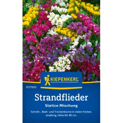 Kiepenkerl Statice sinuata Limonium sinuatum