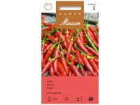 Chili  de Cayenne Rot