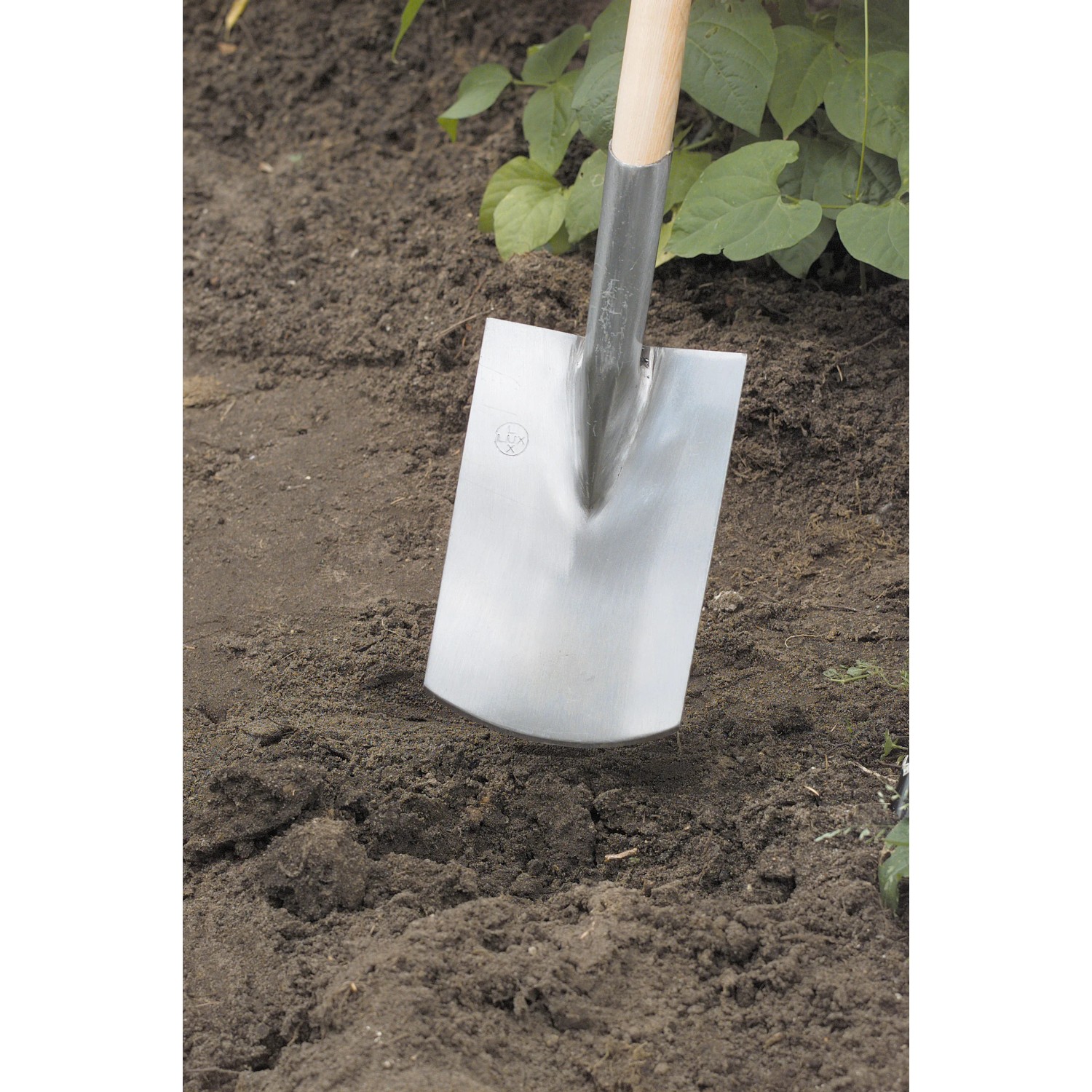 Krumpholz | Vanga da donna Elke con manico in frassino da 85 cm - n. 1589