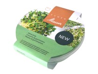 Samen Mauser Keimschale Glas Ø 12,5 cm