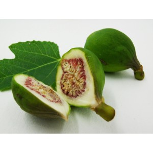 Fico comune Blu (Ficus carica) fresco, verde, tagliato, con foglia. Ideale per dessert.