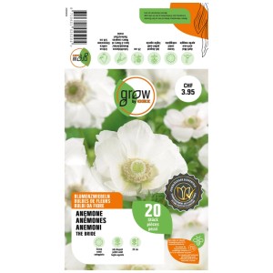 Confezione GROW by OBI Anemone Coronaria The Bride, bulbi di anemone bianchi, 20 pezzi.