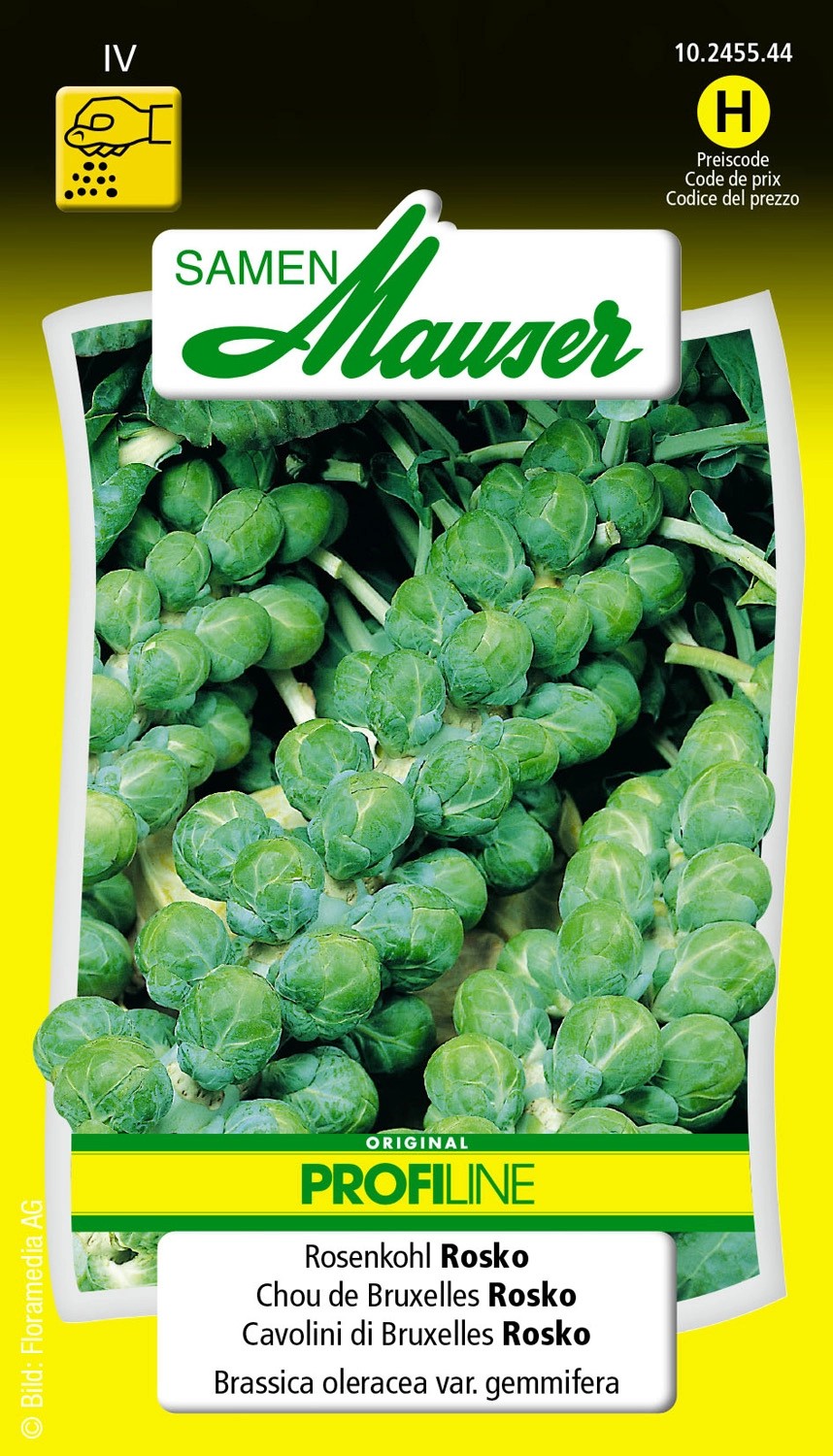 Rosenkohl Rosko kaufen bei OBI