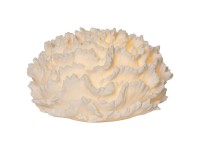 Star Trading LED-Outdoor-Dekoration Sandy Coral Weiss 16,5 x 28,5 x 28,5 cm