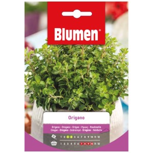 Sachet de graines Mauser herbes aromatiques Origano avec plant d'origan en pot.