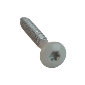 Vite grigia Denpanels per pannelli acustici, testa a lente con attacco TX20.