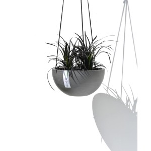 Cesto sospeso Ecopots Brussels, grigio scuro, Ø 27cm, con pianta. Ideale per balcone e giardino.