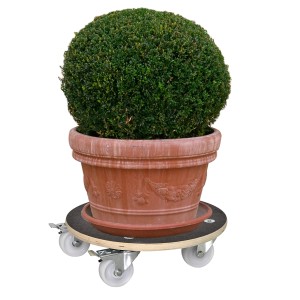 Wagner Multi Roller Maxigrip Ø 380 mm con pianta in vaso su ruote.