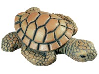 Knopf H022 Kunststoff Schildkröte Ø 56 mm