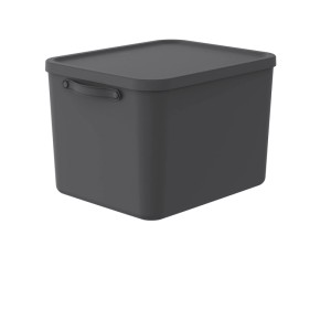 Rotho Mythen Aufbewahrungsbox 55 l in Charcoal Schwarz aus Kunststoff mit Deckel und Griff für einfachen Transport.