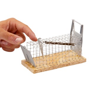 Piège à souris à cage métallique en action, main actionnant le déclencheur. Piège vivant en métal et bois.