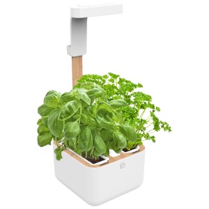 Véritable Indoor Herb Garden Botaneo Eylo con basilico e prezzemolo.