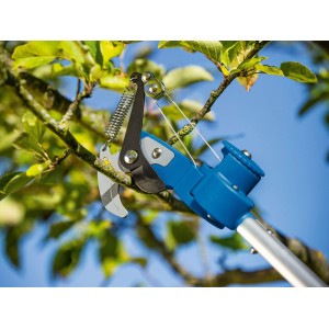 Cesoia telescopica 2 in 1 LUX-TOOLS mentre taglia un ramo.