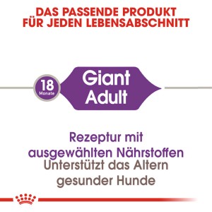 Royal Canin Giant Adult cibo secco, ricetta speciale per cani di taglia molto grande dai 18 mesi.