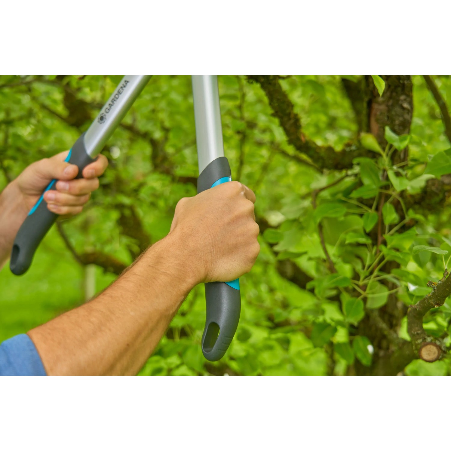 GARDENA EasyCut S: krachtige takkenschaar voor moeiteloos snoeien