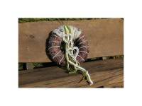 Videx Metall-Hänger Herz Cleo Silber