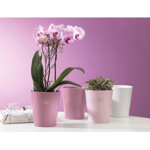 Pot pour orchidées Soendgen Keramik Merina Pretty, Ø 14 cm, blanc mat et tons roses.