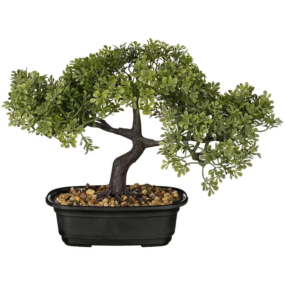bonsai translation Bonsai New Edition with English Translation main image 0