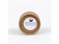 Andermatt Biogarten Cryptolaemus Marienkäferlarven 25 Stk.