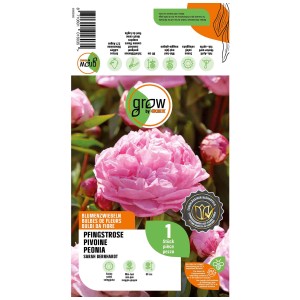 Grow by OBI Peonia Sarah Bernhardt, dettaglio del fiore rosa chiaro.
