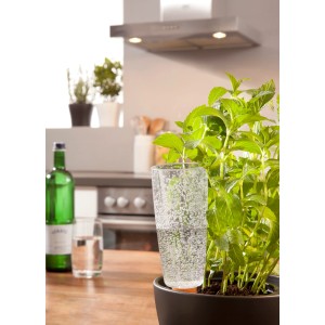 Arroseur Scheurich Copa M, transparent, 150ml, utilisé dans un pot de fleurs.