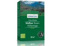 13 Stern Rasen Höhenlagen - Walliser Mischung für Höhenlagen