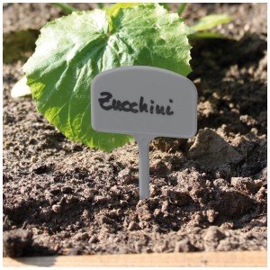 Étiquette de plante grise Videx Garden dans le parterre avec inscription courgette.