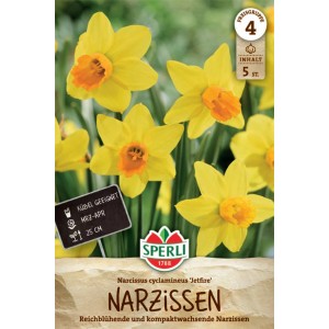 Gelbe Alpenveilchen-Narzisse 'Jetfire' von Sperli, geeignet für Kübel und Garten.