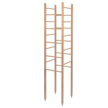 Windhager Torre per piante rampicanti in legno FSC® (HxLxP) 145 x 29 x 29 cm